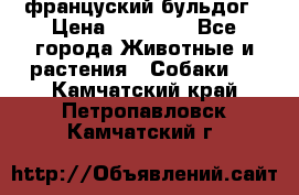 француский бульдог › Цена ­ 40 000 - Все города Животные и растения » Собаки   . Камчатский край,Петропавловск-Камчатский г.